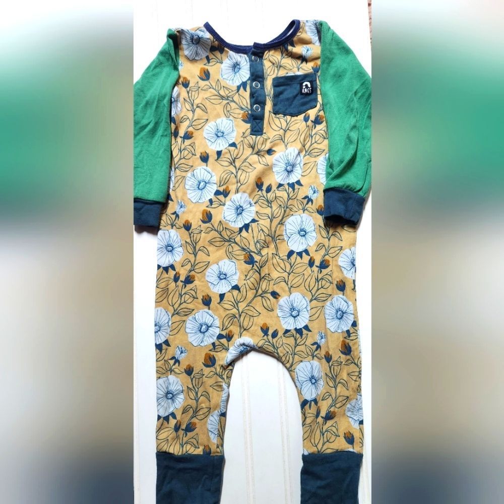 RAGS LONG SLEEVE FLORAL GREEN ROMPER 2t
